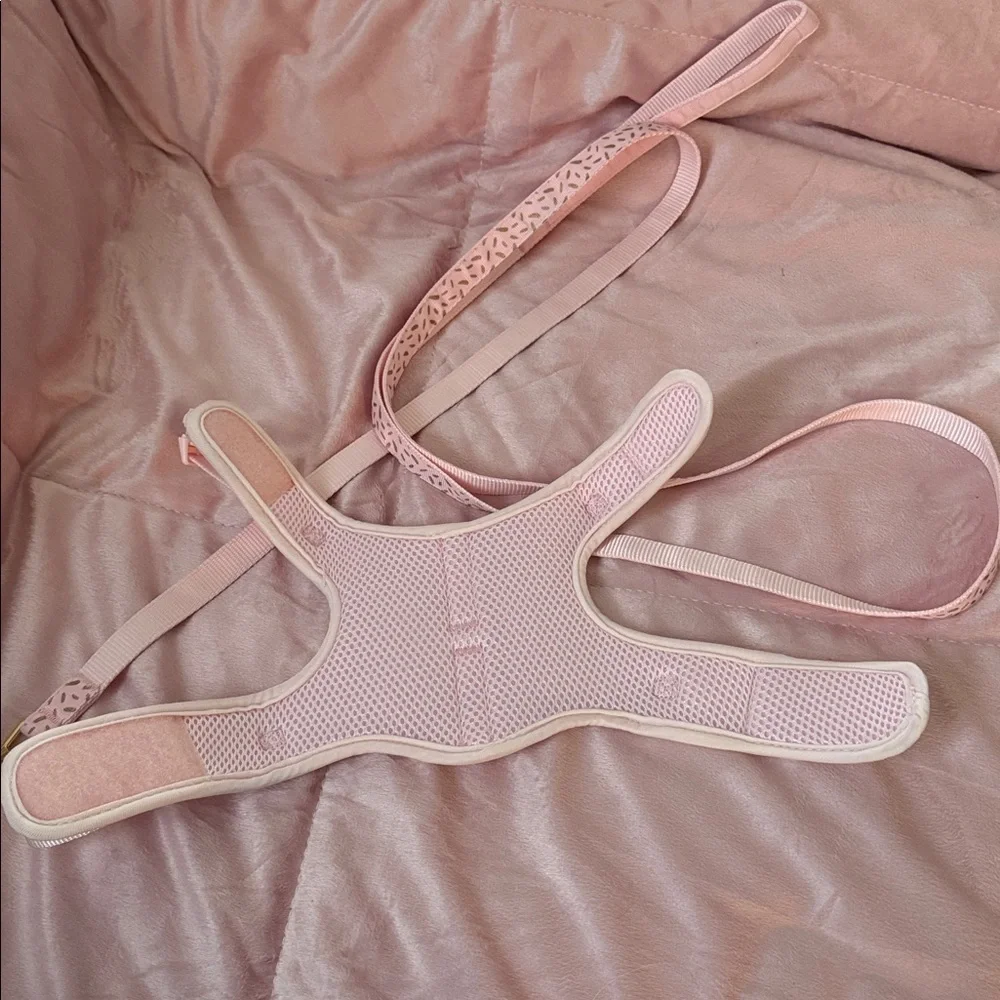 Whisker City Pink & Gold Cast Vest Harness and Leash Combo